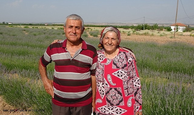 İnternetten gördüler, lavanta üreticisi oldular