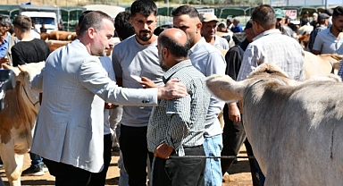 Karademir: