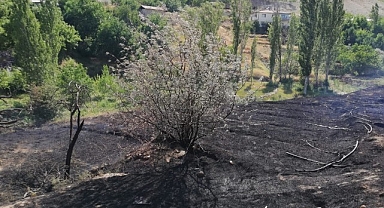 Malatya'da ot yangını