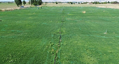 Battalgazi'de yerli üretimle yeşil alan seferberliği