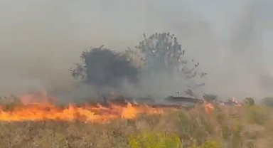 Doğanyol'da bahçe yangını