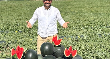 Malatya'da karpuz ve kavun hasadı yüz güldürüyor