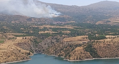 Malatya'da orman yangınına havadan müdahale