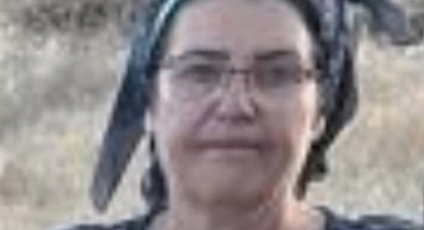 Malatya'da üç çocuk annesi havuzda ölü bulundu