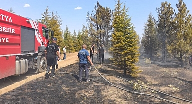 Malatya'daki orman yangını söndürüldü
