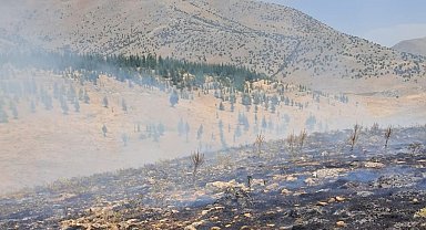 Malatya'da ormanlık alanda yangın