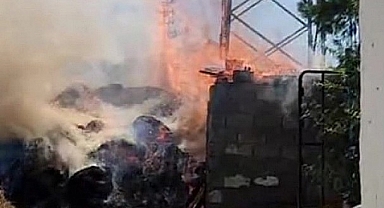 Elektrik kabloları odunlukta yangına neden oldu