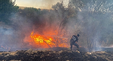 Malatya'da anız yangınında 50 dönümlük arazi zarar gördü