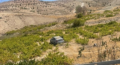 Malatya'da kontrolden çıkan araç üzüm bağına uçtu: 2 yaralı