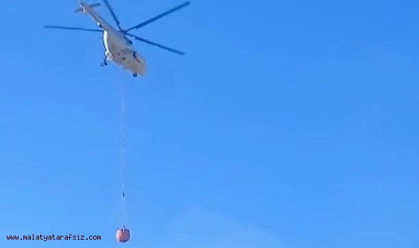 Malatya'daki orman yangını kontrol altına alındı