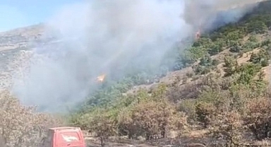 Malatya'daki orman yangını söndürüldü