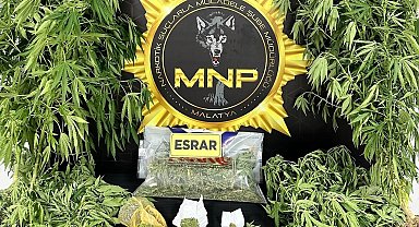 Malatya'da uyuşturucu operasyonu