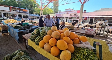 Darende'nin meşhur bal kabağı üreticinin yüzünü güldürüyor