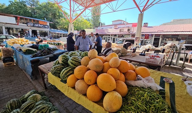 Darende'nin meşhur bal kabağı üreticinin yüzünü güldürüyor