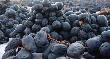 Malatya'da kilosu 500 TL'den alıcı bulan kuru üzüm yüz güldürüyor