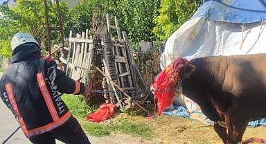 Malatya'da korkutan ahır yangını