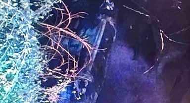 Malatya'da şarampole yuvarlanan araç alev aldı: 1 yaralı