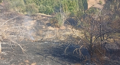 Pütürge'de bahçe yangını korkuttu