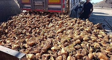 Şeker Fabrikası'nda 62 bin ton şeker üretimi hedefleniyor