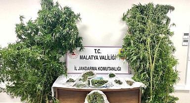 Malatya'da 13 kilo esrar ele geçirildi: 5 şahıs tutuklandı