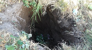 Malatya'da kayısı bahçesinde obruk oluştu