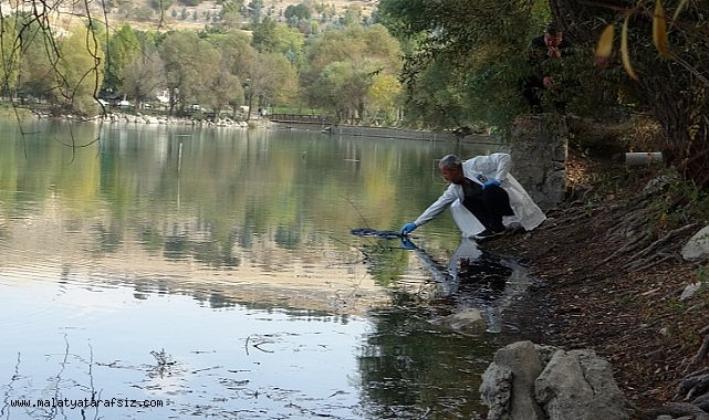 Malatya'da pikniğe giden öğrenciler gölette kadın cesedi buldu