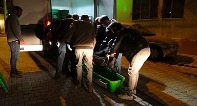 Malatya'da yaşlı adam evinde ölü bulundu