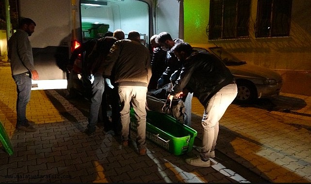 Malatya'da yaşlı adam evinde ölü bulundu