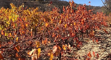 Arapgir'de sonbahar doğal güzelliğiyle görenleri hayran bıraktırıyor