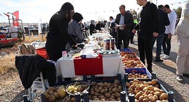 Darende'de yerli patates tohumu şenliği düzenlendi