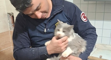 Malatya'da havalandırma boşluğuna düşen kedi kurtarıldı