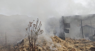 Malatya'da besi çiftliğinde yangın