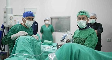 Malatya Eğitim ve Araştırma Hastanesi'nde 320 kişinin katıldığı canlı cerrahi kursu