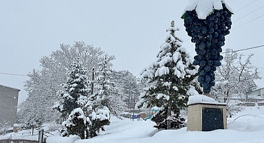 Arapgir beyaza büründü