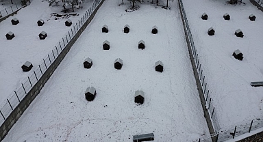 Battalgazi'de Malatya'nın ikinci hayvan barınağı hizmete başladı