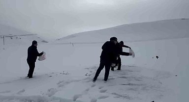 Darende'de öğretmen ve öğrencilerden yaban hayvanlarını unutmadı