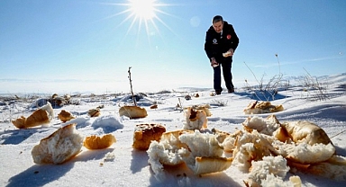 Malatya Darende'de yaban hayvanları için doğaya yem bırakıldı