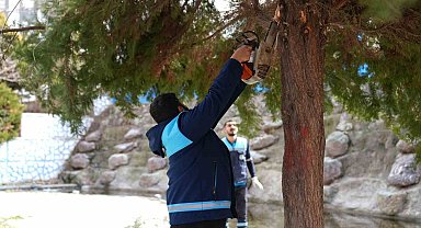 Battalgazi'de yeşil alanlarda kapsamlı çalışma