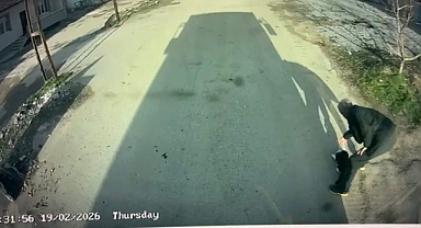 Malatya'da kafası konserve kutusuna sıkışan kediyi otobüs şoförü kurtardı