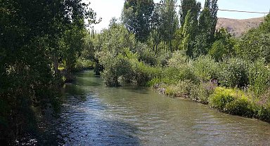 Tohma Çayı'nın ekolojik sağlığı bilimsel olarak ortaya kondu