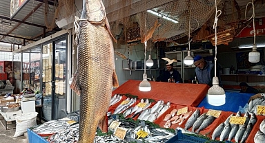 Karakaya Barajı'nda yakalanan 42 kiloluk turna balığı ilgi gördü