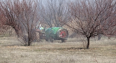Kayısıda kritik bakım dönemi başladı