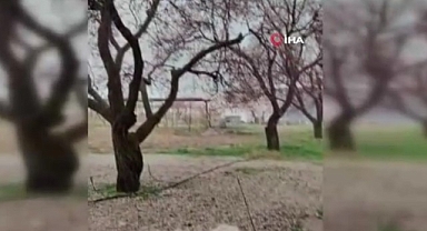 Malatya'da dolu yağışı etkili oldu