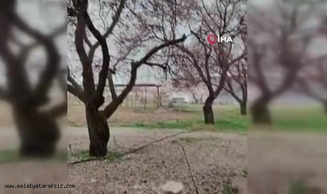 Malatya'da dolu yağışı etkili oldu