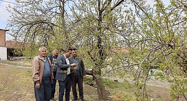 Akçadağ Belediye Başkanı Ulutaş, doludan etkilenen üreticileri ziyaret etti