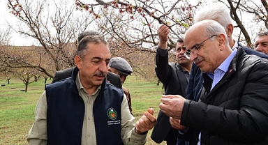 Başkan Er, dolu afetinden zarar gören ilçeleri ziyaret etti