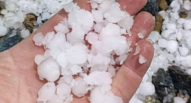 Malatya'da dolu kayısı bahçelerine zarar verdi