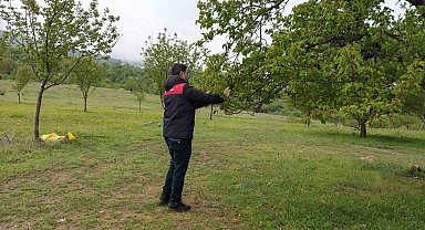 Malatya'da dolu sonrası hasar tespit çalışmaları başlatıldı