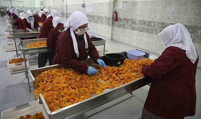 Malatya'da kayısı ihracatı Mart ayında 20 milyon doları aştı