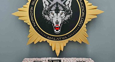 Malatya'da uyuşturucu operasyonu: 2 gözaltı